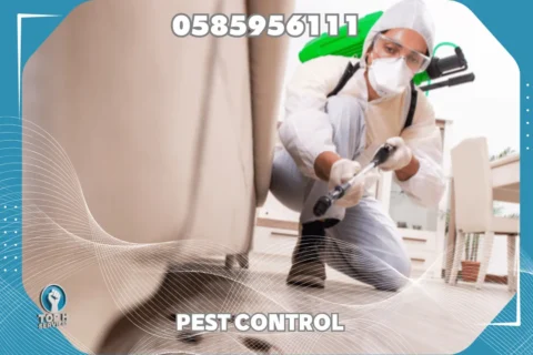 مكافحة صراصير في أبوظبي - Top h Services Cockroach Control in Abu Dhabi