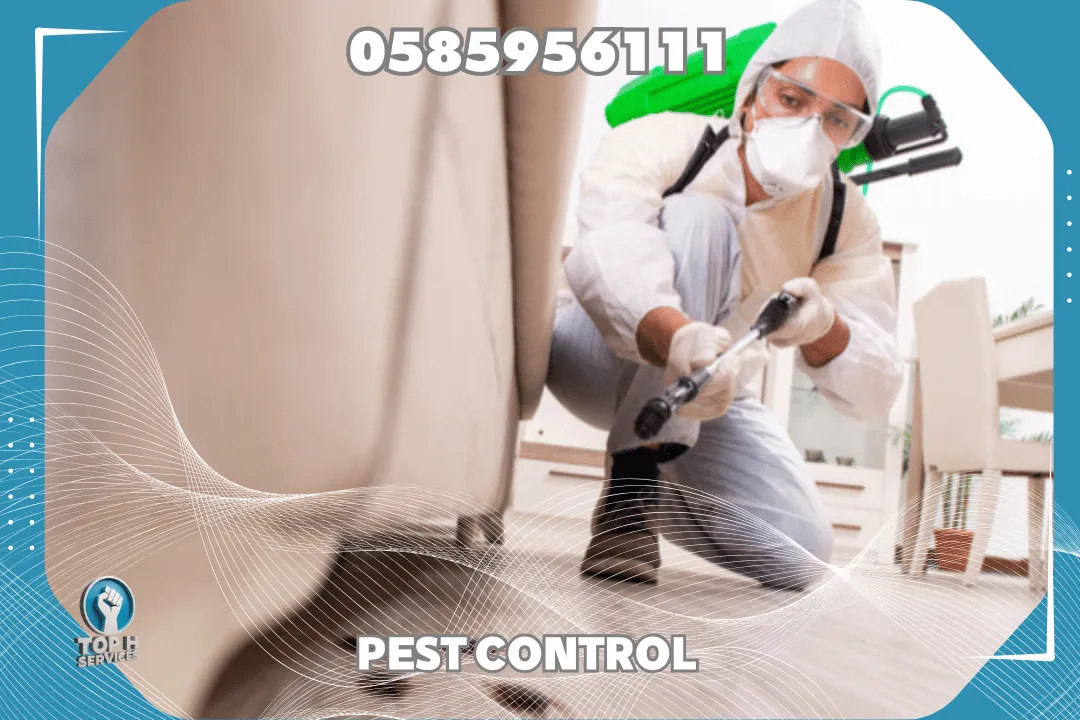 Pest Control Prices