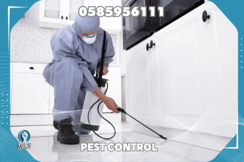 مكافحة صراصير في أبوظبي - Top h Services Cockroach Control in Abu Dhabi