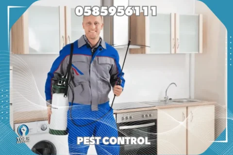 مكافحة صراصير في الشارقة - Top h Services Cockroach Control in Sharjah