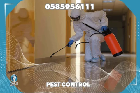 مكافحة صراصير في دبي - Top h Services مكافحة صراصير في دبي
