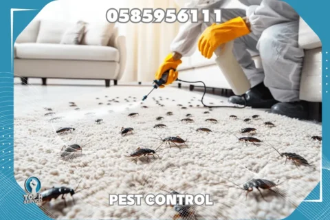 مكافحة صراصير في الشارقة - Top h Services Cockroach Control in Sharjah