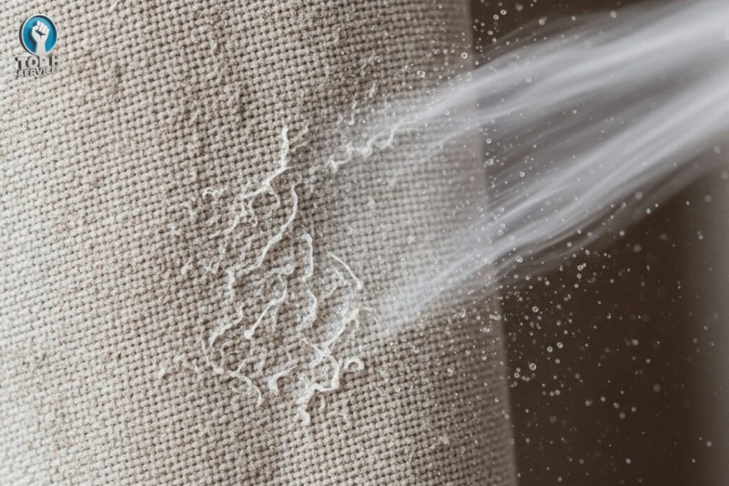 Curtain Cleaning