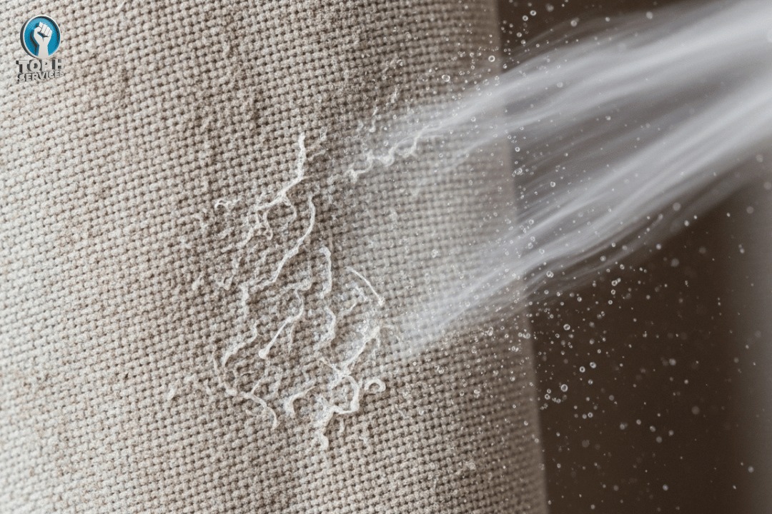 Curtain Cleaning